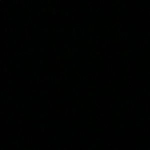 Meet your Posher, Ben